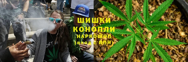 гидропоника Белокуриха