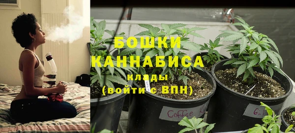 гидропоника Белокуриха