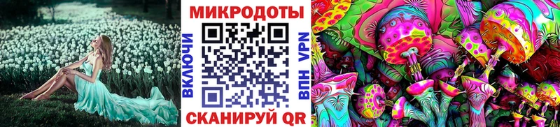 Галлюциногенные грибы Magic Shrooms  где продают наркотики  Онега 